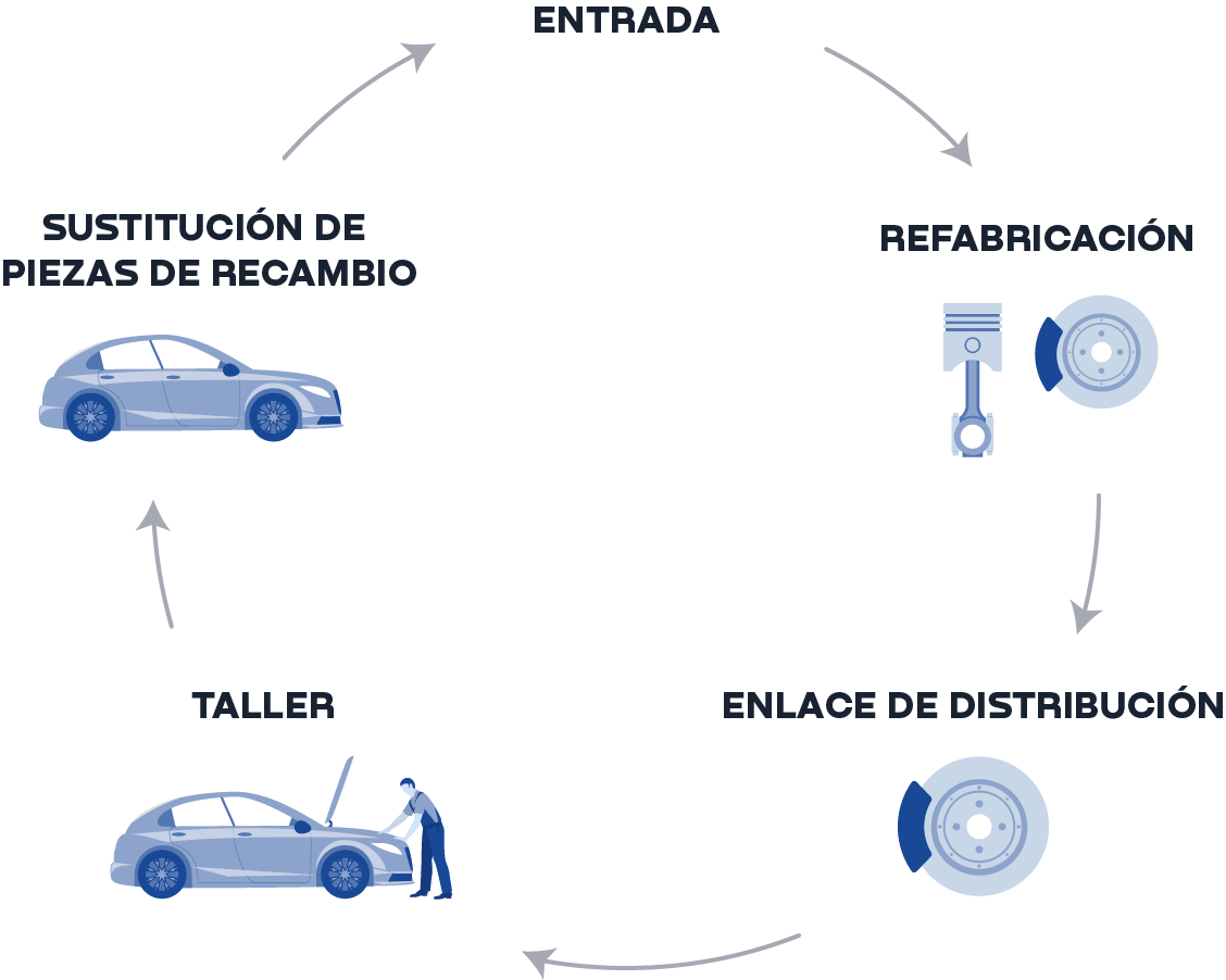 BORG Group Cirkular Process ES