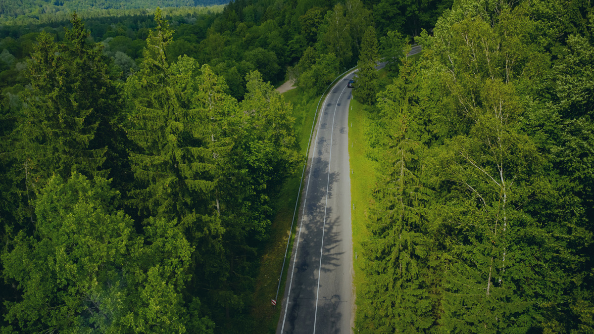 Depositphotos Shadows On Road Filter